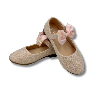 Ballerina Partywear PINK Shoes (WS-339-2)